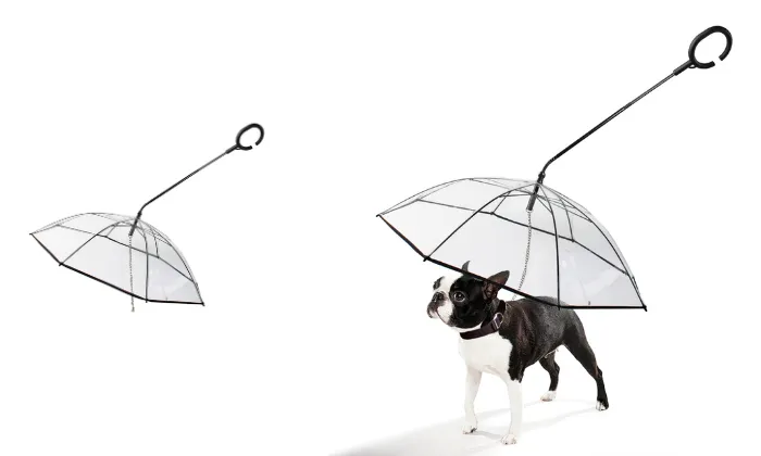 Dog Umbrella